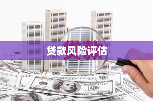 集安贷款风险评估