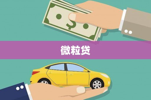集安微粒贷