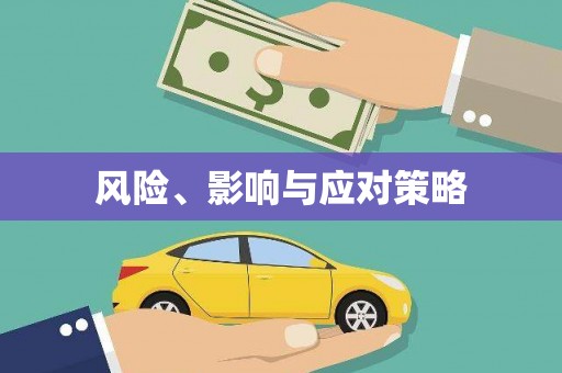 集安风险、影响与应对策略
