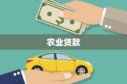 集安农业贷款