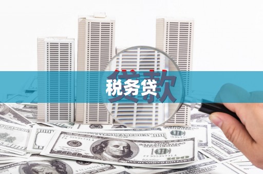 集安税务贷