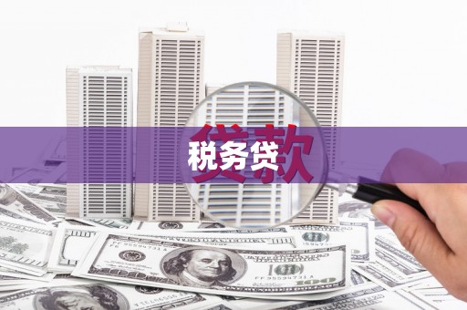 集安税务贷