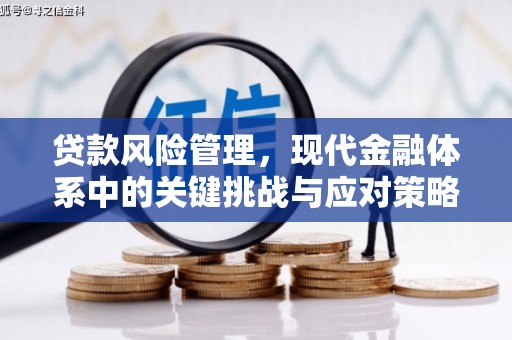 集安贷款风险管理，现代金融体系中的关键挑战与应对策略