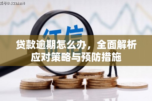 集安贷款逾期怎么办，全面解析应对策略与预防措施
