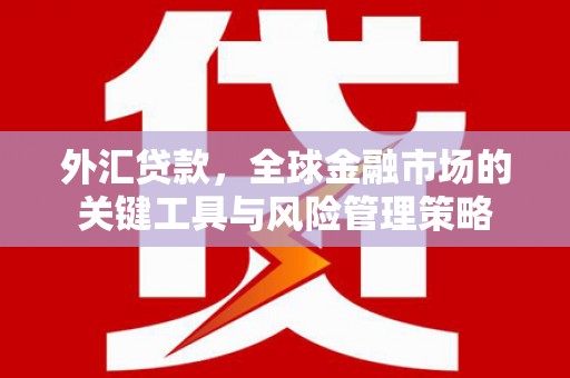 集安外汇贷款，全球金融市场的关键工具与风险管理策略