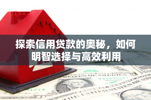 集安探索信用贷款的奥秘，如何明智选择与高效利用