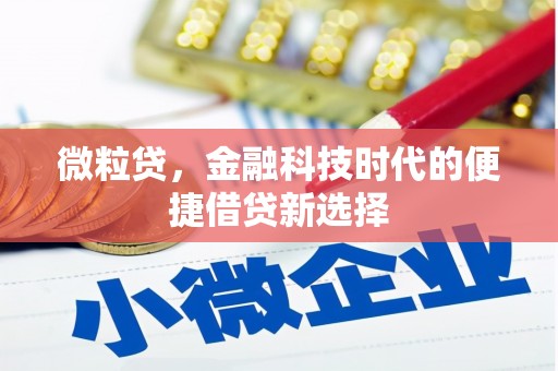 集安微粒贷，金融科技时代的便捷借贷新选择