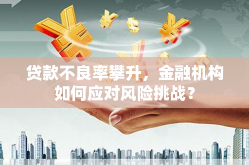集安贷款不良率攀升，金融机构如何应对风险挑战？