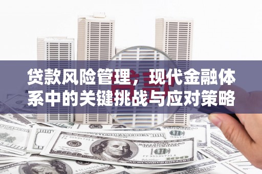 集安贷款风险管理，现代金融体系中的关键挑战与应对策略