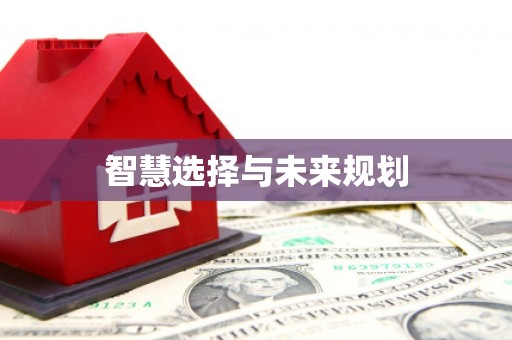 集安智慧选择与未来规划