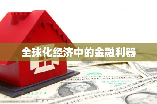 集安全球化经济中的金融利器