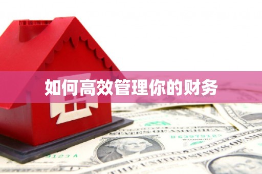 集安如何高效管理你的财务