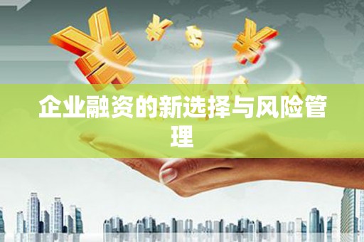 集安企业融资的新选择与风险管理