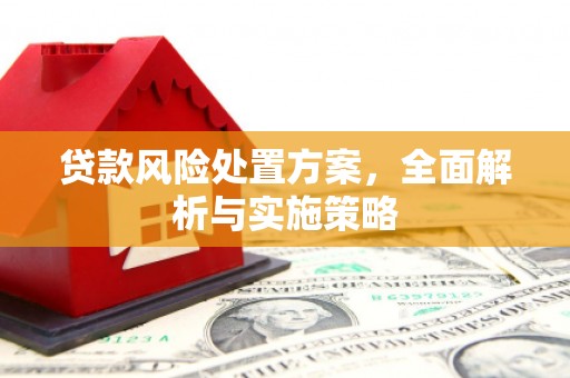 集安贷款风险处置方案，全面解析与实施策略